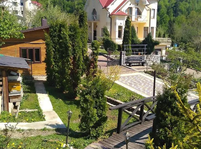 Medova